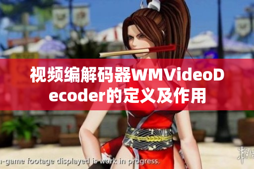 视频编解码器WMVideoDecoder的定义及作用