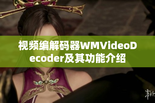 视频编解码器WMVideoDecoder及其功能介绍