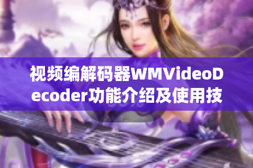 视频编解码器WMVideoDecoder功能介绍及使用技巧分享(1)