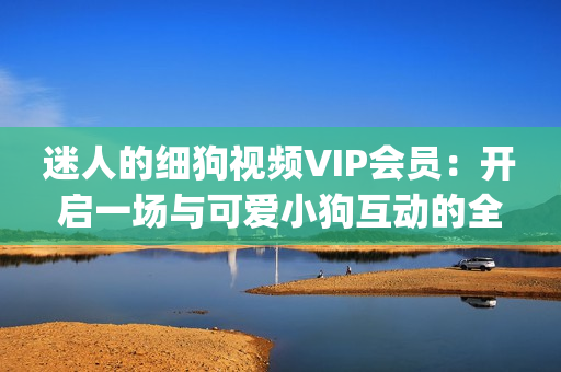 迷人的细狗视频VIP会员：开启一场与可爱小狗互动的全新体验(1)