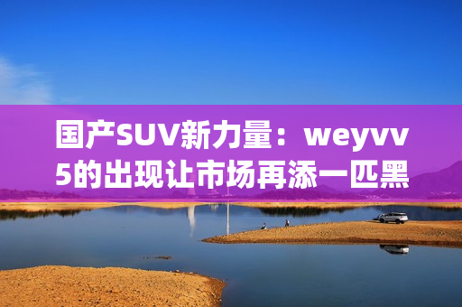 国产SUV新力量：weyvv5的出现让市场再添一匹黑马