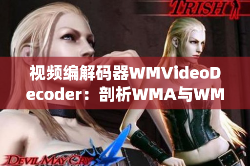 视频编解码器WMVideoDecoder：剖析WMA与WMV格式视频文件(1)