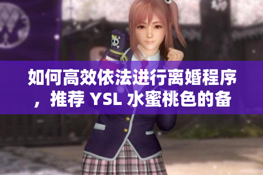 如何高效依法进行离婚程序，推荐 YSL 水蜜桃色的备选方案