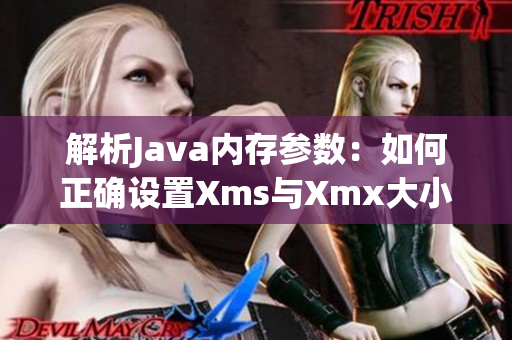 解析Java内存参数：如何正确设置Xms与Xmx大小