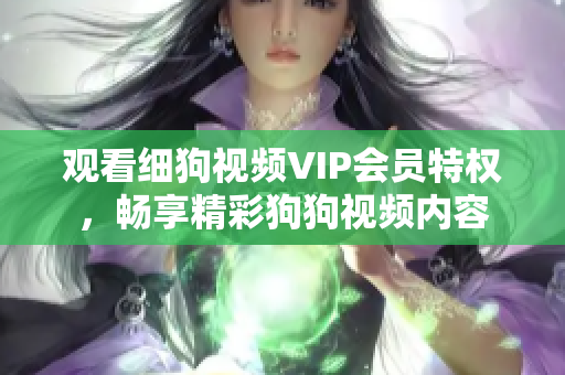 观看细狗视频VIP会员特权，畅享精彩狗狗视频内容