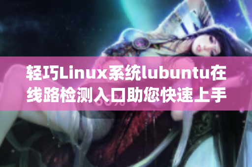 轻巧Linux系统lubuntu在线路检测入口助您快速上手(1)