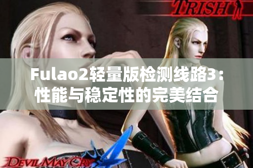 Fulao2轻量版检测线路3：性能与稳定性的完美结合