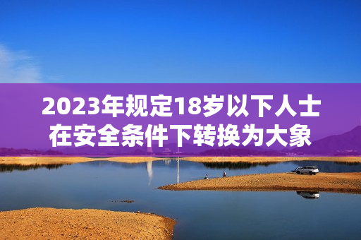 2023年规定18岁以下人士在安全条件下转换为大象