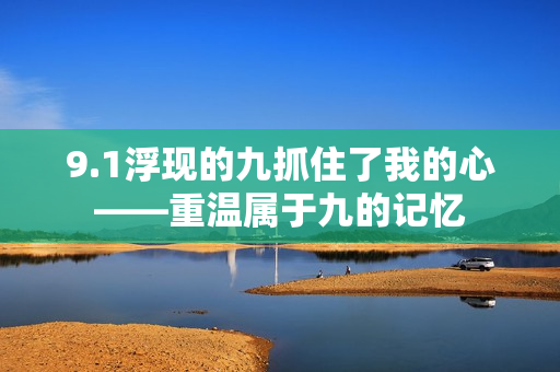 9.1浮现的九抓住了我的心——重温属于九的记忆