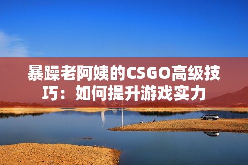 暴躁老阿姨的CSGO高级技巧：如何提升游戏实力