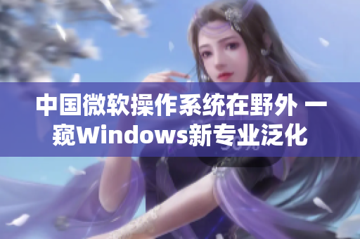 中国微软操作系统在野外 一窥Windows新专业泛化