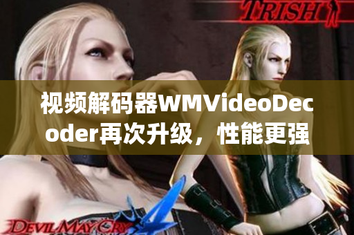 视频解码器WMVideoDecoder再次升级，性能更强劲(1)