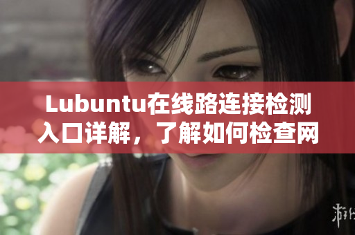 Lubuntu在线路连接检测入口详解，了解如何检查网络连接