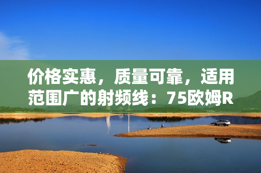 价格实惠，质量可靠，适用范围广的射频线：75欧姆RF线