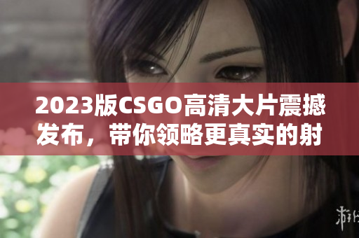 2023版CSGO高清大片震撼发布，带你领略更真实的射击战斗！