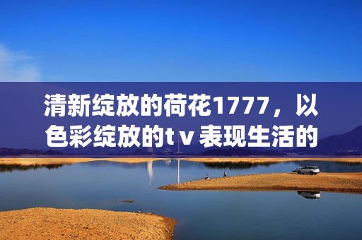 清新绽放的荷花1777，以色彩绽放的tⅴ表现生活的美好(1)