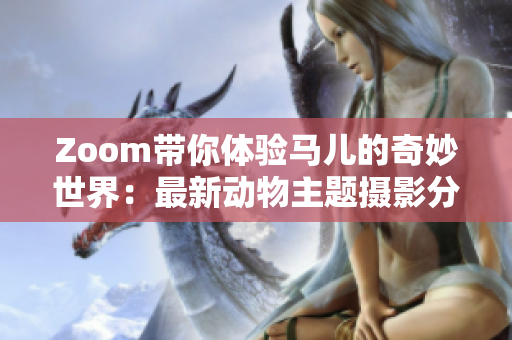 Zoom带你体验马儿的奇妙世界：最新动物主题摄影分享