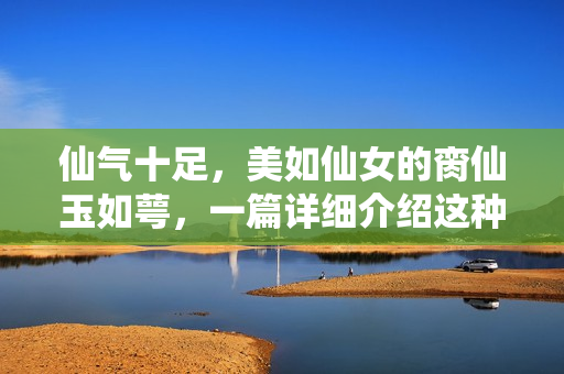 仙气十足，美如仙女的脔仙玉如萼，一篇详细介绍这种珍贵绿松石的文章