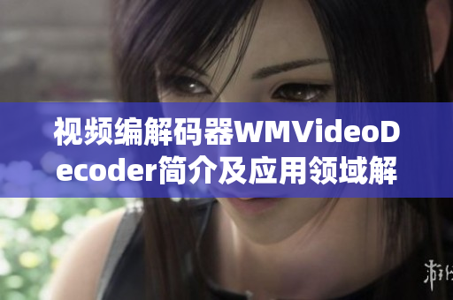 视频编解码器WMVideoDecoder简介及应用领域解析(1)