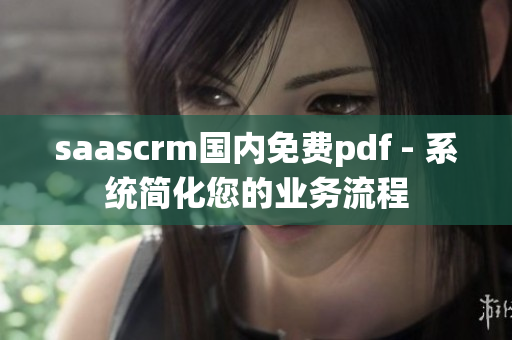 saascrm国内免费pdf - 系统简化您的业务流程