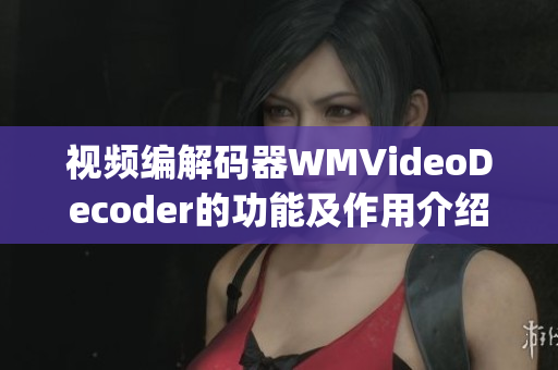 视频编解码器WMVideoDecoder的功能及作用介绍(1)