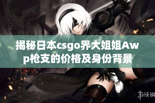 揭秘日本csgo界大姐姐Awp枪支的价格及身份背景