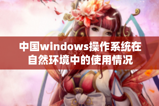 中国windows操作系统在自然环境中的使用情况