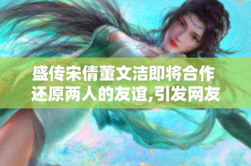 盛传宋倩董文洁即将合作 还原两人的友谊,引发网友热议