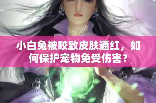 小白兔被咬致皮肤通红，如何保护宠物免受伤害？