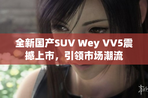 全新国产SUV Wey VV5震撼上市，引领市场潮流