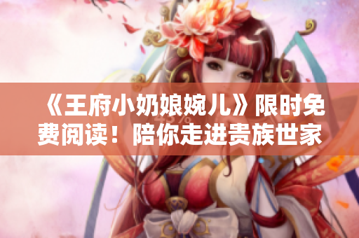 《王府小奶娘婉儿》限时免费阅读！陪你走进贵族世家的传奇故事！