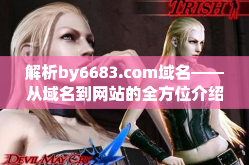 解析by6683.com域名——从域名到网站的全方位介绍(1)