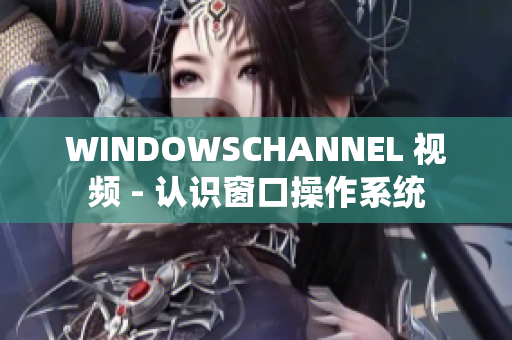 WINDOWSCHANNEL 视频 - 认识窗口操作系统