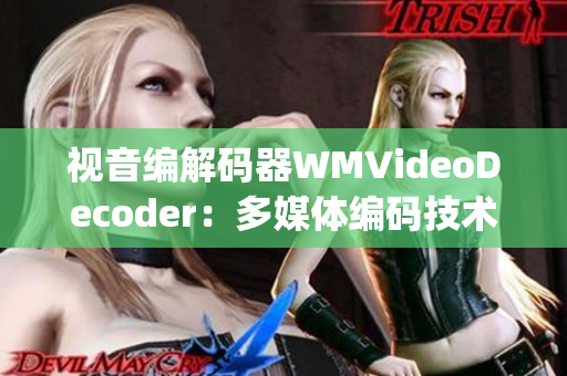 视音编解码器WMVideoDecoder：多媒体编码技术娴熟应用(1)