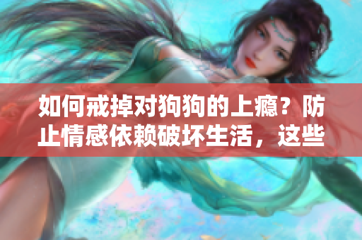 如何戒掉对狗狗的上瘾？防止情感依赖破坏生活，这些方法很有效！