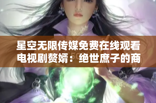 星空无限传媒免费在线观看电视剧赘婿：绝世庶子的商战传奇