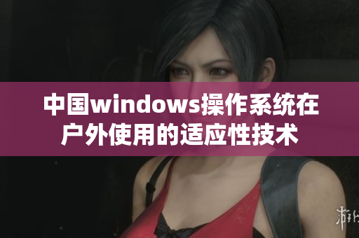 中国windows操作系统在户外使用的适应性技术