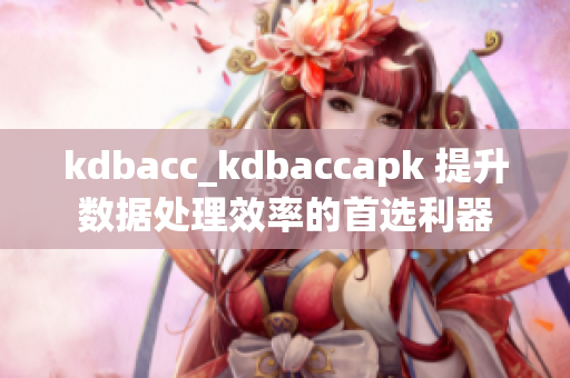 kdbacc_kdbaccapk 提升数据处理效率的首选利器