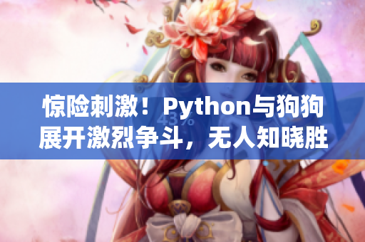 惊险刺激！Python与狗狗展开激烈争斗，无人知晓胜者为谁