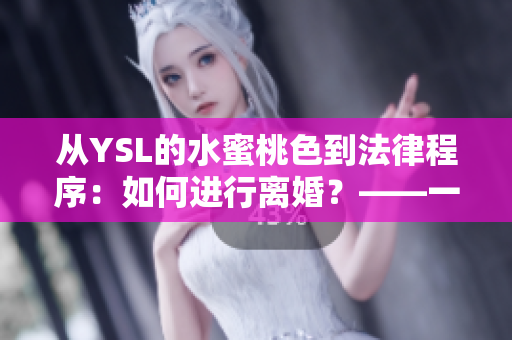 从YSL的水蜜桃色到法律程序：如何进行离婚？——一份详细指南