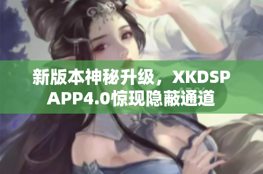 新版本神秘升级，XKDSPAPP4.0惊现隐蔽通道