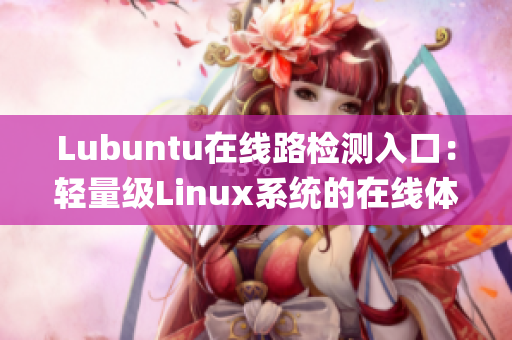 Lubuntu在线路检测入口：轻量级Linux系统的在线体验方式(1)