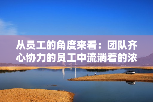 从员工的角度来看：团队齐心协力的员工中流淌着的浓浓的归属感