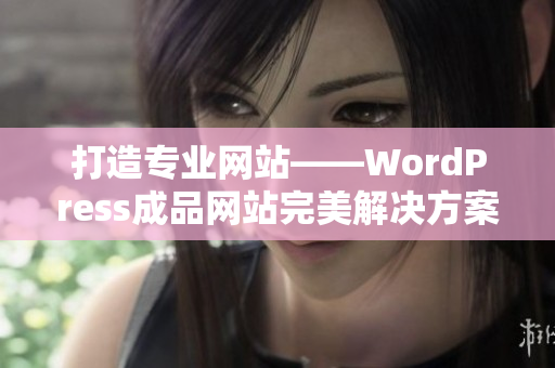 打造专业网站——WordPress成品网站完美解决方案