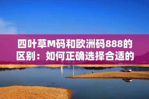 四叶草M码和欧洲码888的区别：如何正确选择合适的尺码