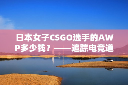 日本女子CSGO选手的AWP多少钱？——追踪电竞道路上的职业选手成本