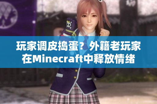 玩家调皮捣蛋？外籍老玩家在Minecraft中释放情绪