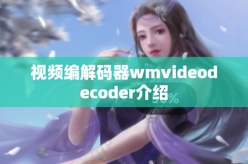 视频编解码器wmvideodecoder介绍