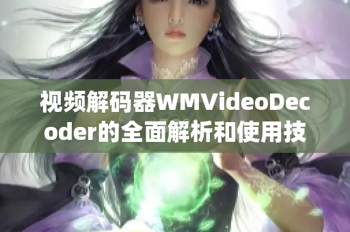 视频解码器WMVideoDecoder的全面解析和使用技巧(1)