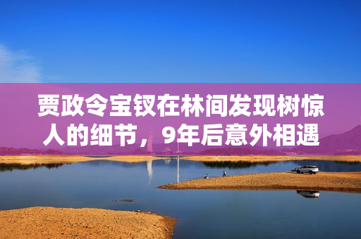 贾政令宝钗在林间发现树惊人的细节，9年后意外相遇，最后落泪的真相